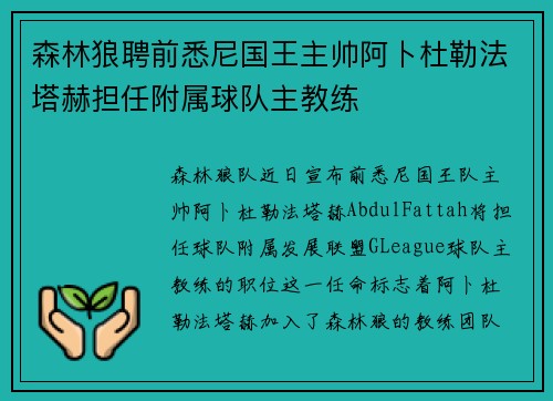 森林狼聘前悉尼国王主帅阿卜杜勒法塔赫担任附属球队主教练