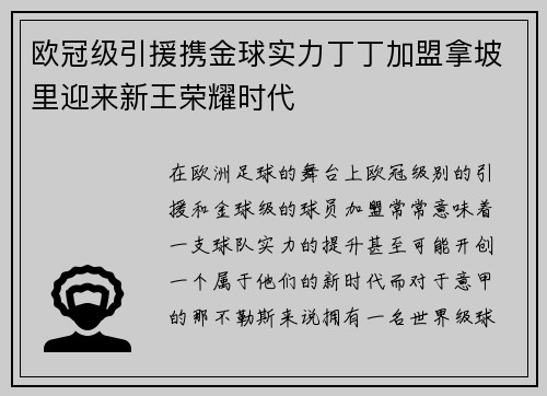 欧冠级引援携金球实力丁丁加盟拿坡里迎来新王荣耀时代